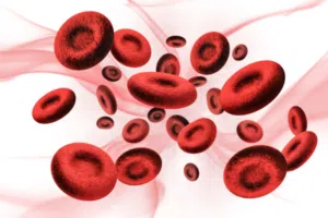 Large blood cells coursing through a vein